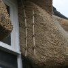Broadway thatch
