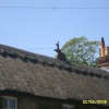 Godshill Isle of Wight
