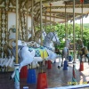 Carousel, Needles, Isle of wight