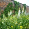 Gardens Osborne