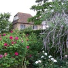 In the Garden
