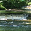 Heron at West Burton falls, Yorkshire Dales