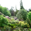 Cragside Estate, nr Rotherbury, Northumberland.