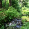 Cragside Estate, nr Rotherbury, Northumberland.