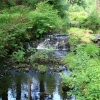 Cragside Estate, nr Rotherbury, Northumberland.