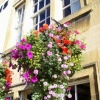 Flower Basket