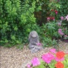 Beer Garden Bunnies, Baker's Arms, Broad Campden