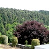 The Cragside Estate, nr Rotherbury, Northumberland.
