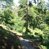 The Cragside Estate, nr Rotherbury, Northumberland.