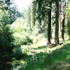 The Cragside Estate, nr Rotherbury, Northumberland.