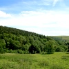 The Cragside Estate, nr Rotherbury, Northumberland.