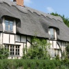 Thatched village cottage