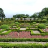 The gardens