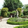 The old English rose garden