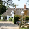 Thatched cottage in Dalham