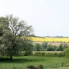 View from St Mary's Church