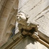 Gargoyle