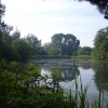  Lake at Woods Mill