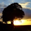 Setting sun