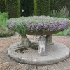 Thyme fills an old fountain at Sissinghurst castle garden, Kent