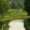 Canal