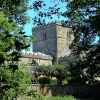 The church through the trees