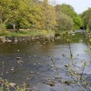The River Greta