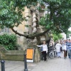 Interesting Tree