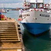 Arrival of Western Lady VI