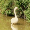 Beauty on the Grand Union Canal