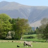 Skiddaw