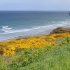 St Agnes