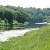 Along the River Ribble
