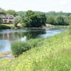 Walk along the river