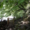 The new gate.