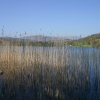 Rydal Water