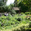Anne Hathaway's Cottage