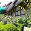 Anne Hathaway's Cottage