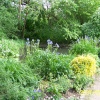 Anne Hathaway's Cottage