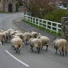 Caldbeck street scene