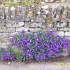 Bourton on the Water