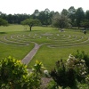 maze pattern