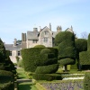 Levens Hall topiary
