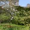 Levens Hall Gardens