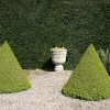 Topiary