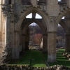 Looking to the south through Rievaulx Abbey