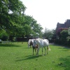 Brockenhurst