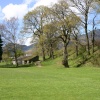 Lower Fitz Park
