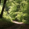 Hurst Green, Mill Wood