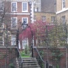 the little garden in the great city